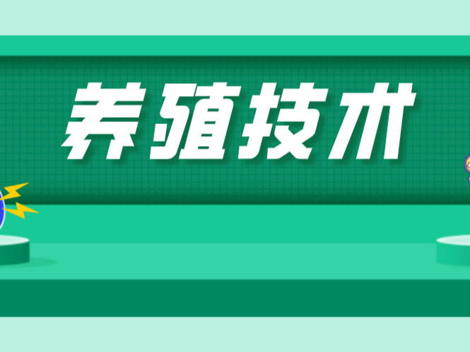 池塘的臉面太油了怎么辦