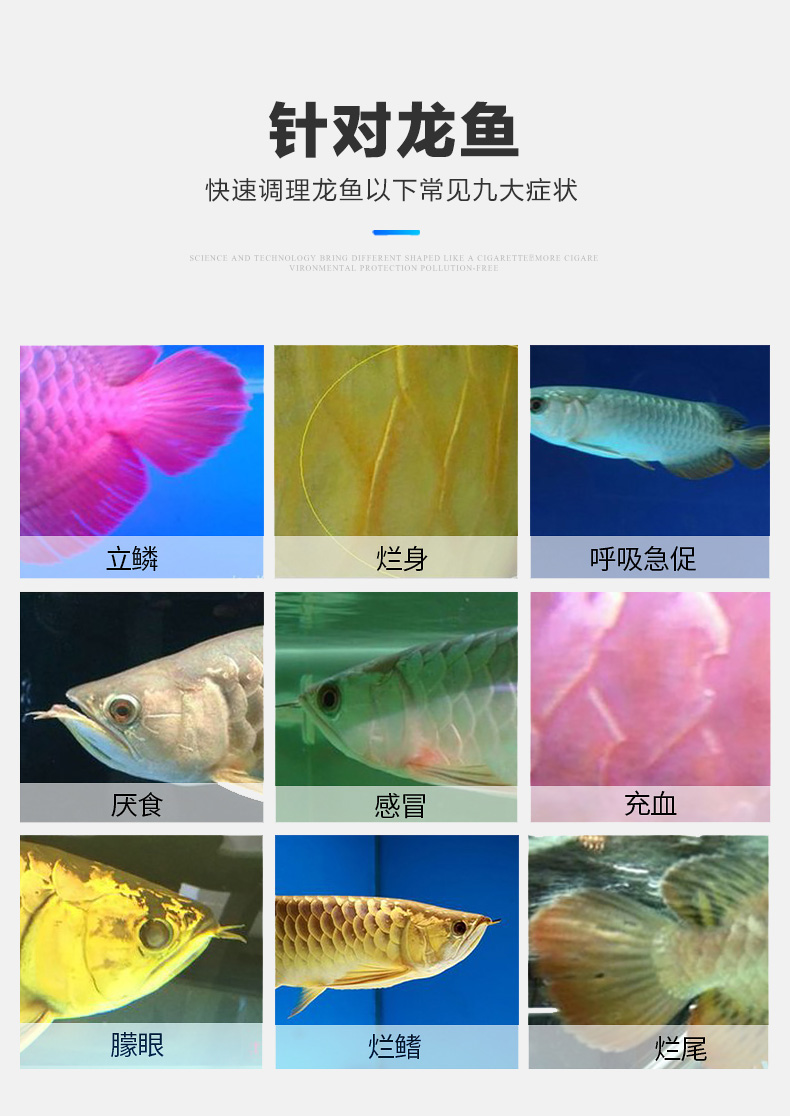 龍魚專用藥