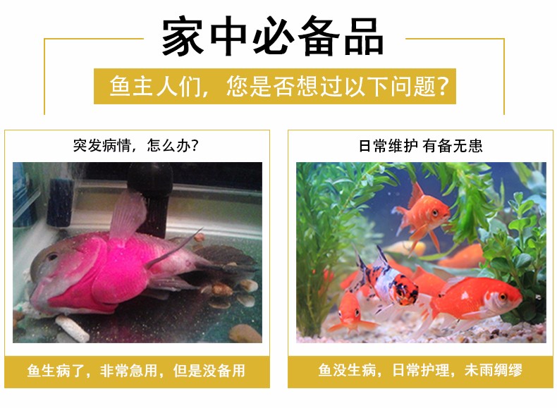 魚病治療預防