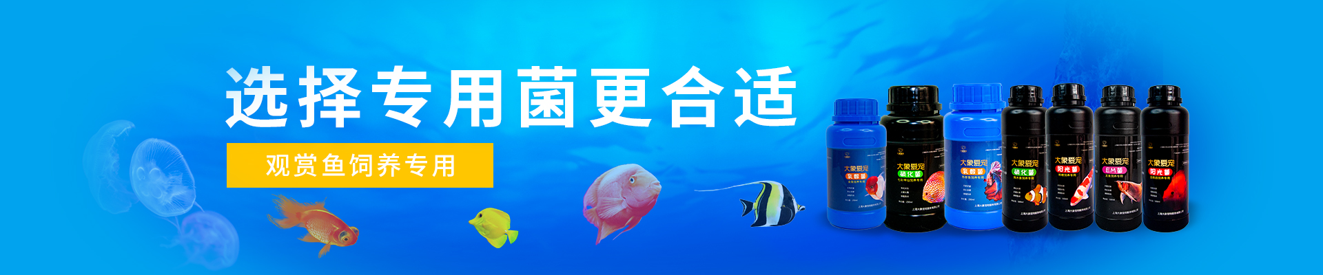 網(wǎng)站改